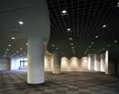 ロビー：広さ435m²（24.5坪）、天井高3.0m